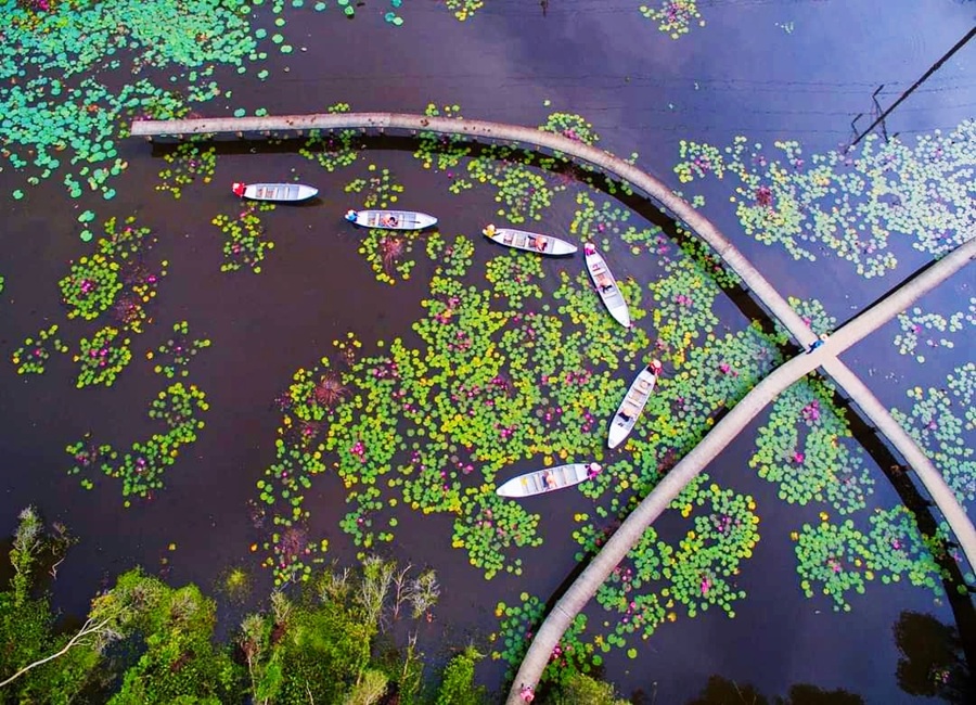 Hệ sinh th&aacute;i đa dạng ở Đồng Th&aacute;p Mười