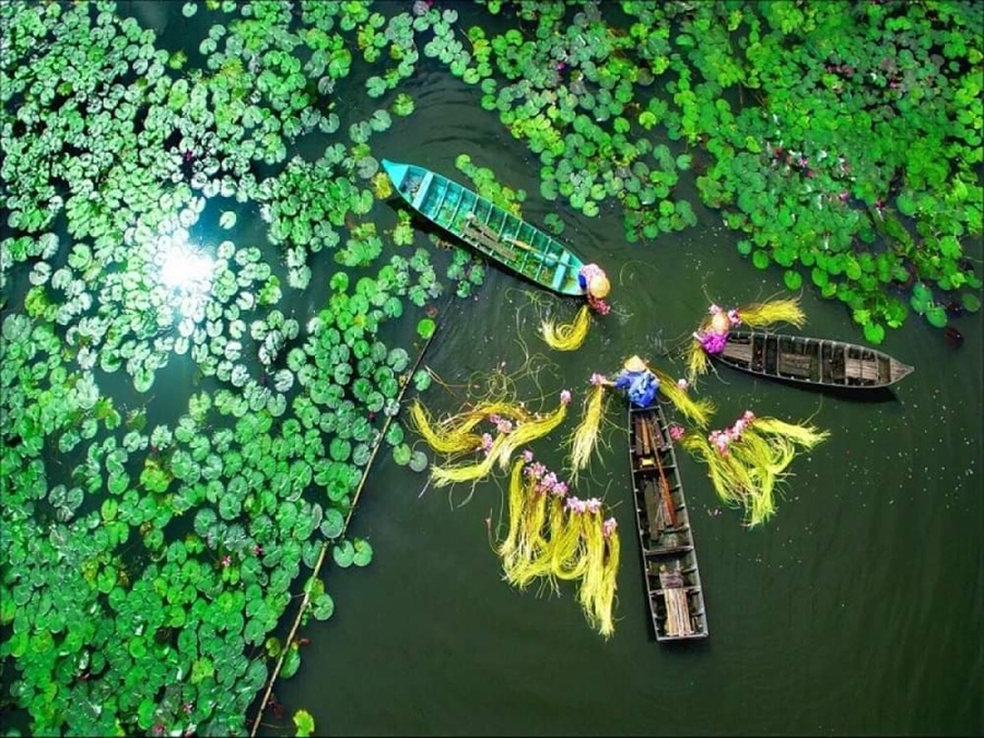 Đồng Tháp tăng tốc du lịch số, đón 3,2 triệu lượt khách trong quý I