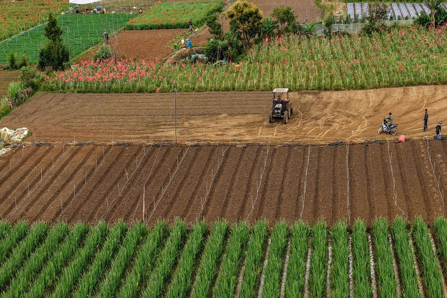 Gỡ “nút thắt” logistics, nâng tầm nông sản Lâm Đồng