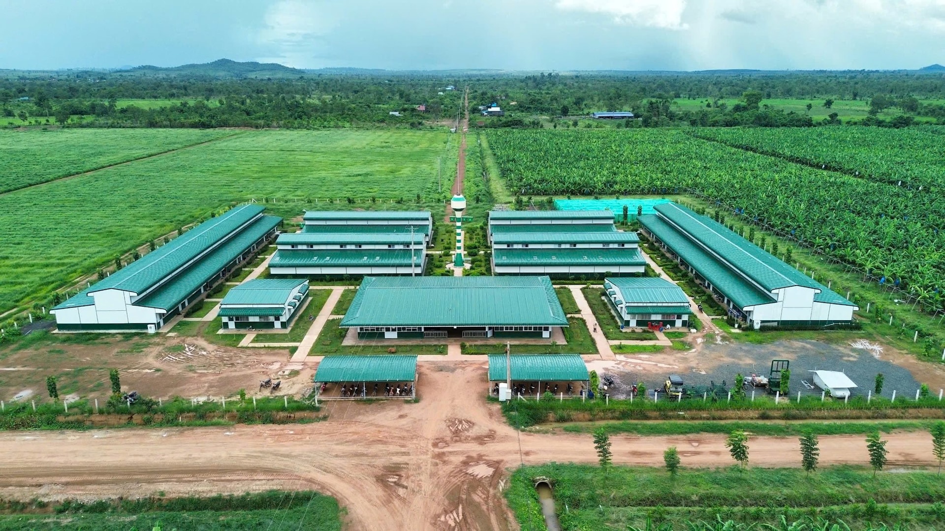 HAGL Agrico lỗ lũy kế hơn 10.000 tỷ đồng, đối mặt áp lực hoạt động liên tục