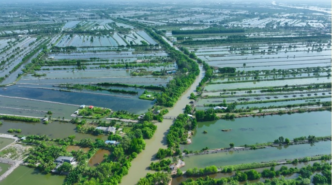 Thích ứng khí hậu và hướng đi bảo vệ sinh kế bền vững cho cộng đồng ven biển