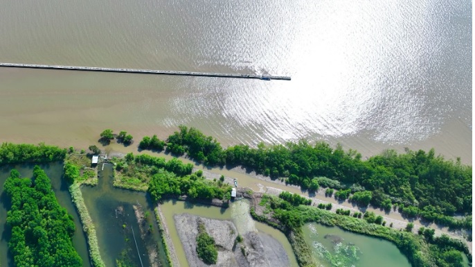 Dự &aacute;n x&acirc;y dựng đ&ecirc; biển T&acirc;y từ C&aacute;i Đ&ocirc;i V&agrave;m đến K&ecirc;nh Năm v&agrave; hệ thống k&egrave; ph&ograve;ng, chống sạt lở tại c&aacute;c đoạn xung yếu từ cửa biển S&ocirc;ng &Ocirc;ng Đốc đến cửa biển Bảy H&aacute;p