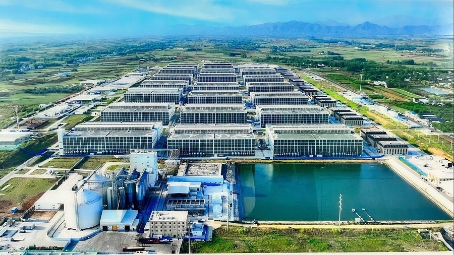 BAF Việt Nam lên kế hoạch lãi tăng hơn 500%, sản lượng heo vượt 1,2 triệu con