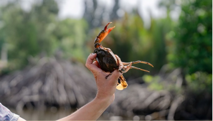 Thay v&igrave; nu&ocirc;i trồng thủy sản theo kinh nghiệm đầy rủi ro, b&agrave; con được hỗ trợ men vi sinh xử l&yacute; m&ocirc;i trường, kỹ thuật kiểm tra kh&iacute; độc v&agrave; con giống chất lượng