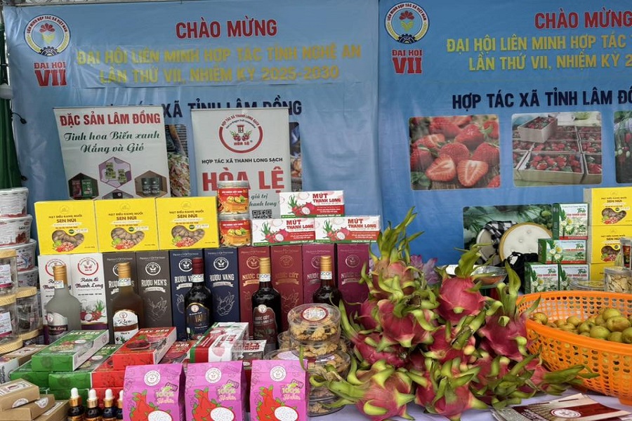 TX Thanh Long Sạch Ho&agrave; Lệ đ&atilde; vinh tham gia Đại hội của Li&ecirc;n minh Hợp t&aacute;c x&atilde; tỉnh L&acirc;m Đồng được tổ chức tại th&agrave;nh phố Đ&agrave; Lạt.