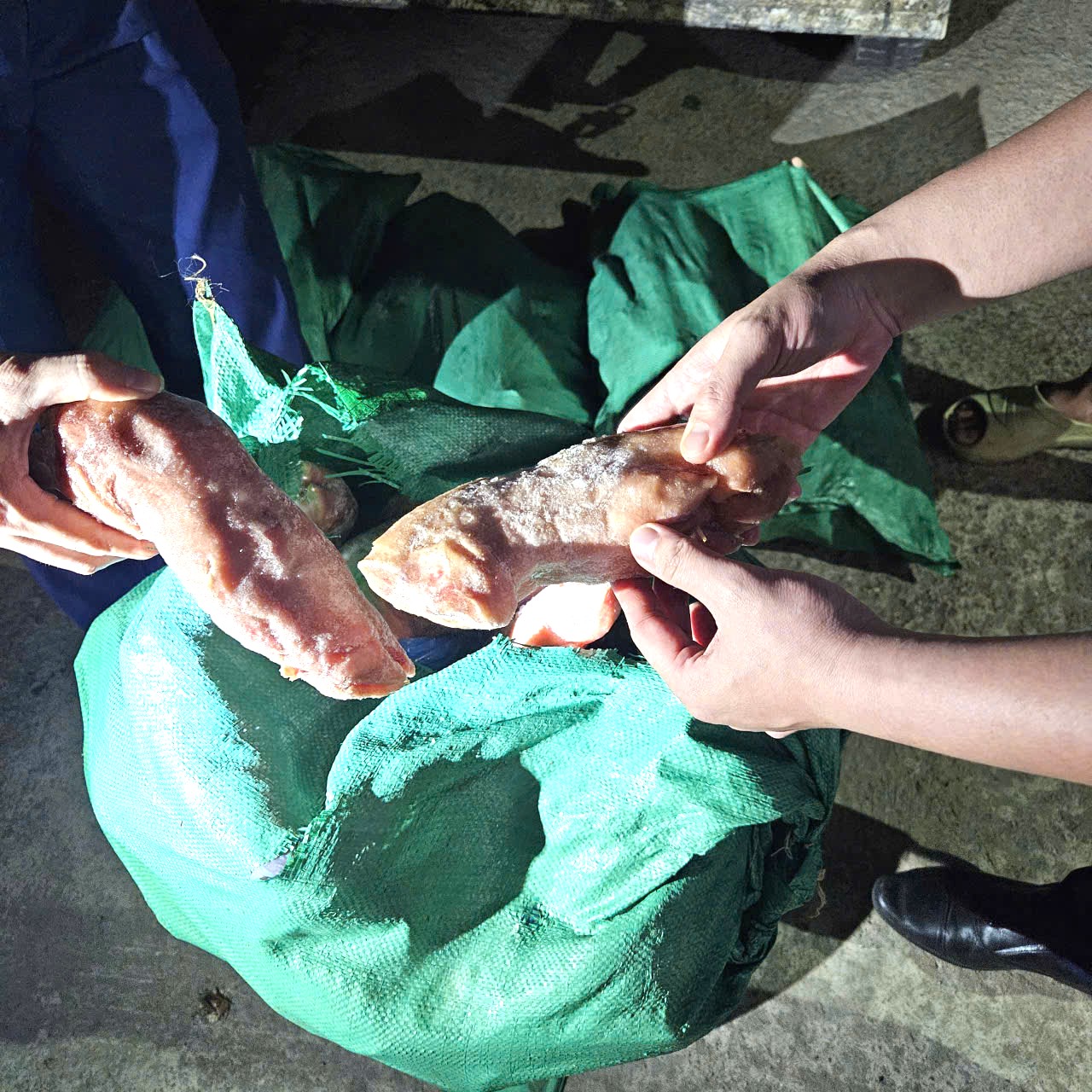 L&ocirc; h&agrave;ng h&oacute;a vi phạm