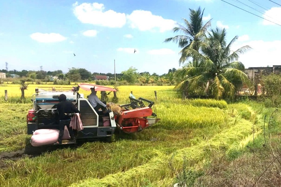 N&acirc;ng cao đời sống thu nhập người d&acirc;n - động lực then chốt th&uacute;c đẩy c&aacute;c ti&ecirc;u ch&iacute; n&ocirc;ng th&ocirc;n mới