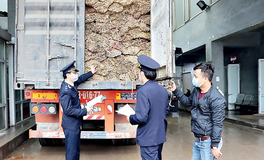 Hải quan khu vực XI: Thông quan cho 47.666 tờ khai xuất nhập khẩu trong quý I