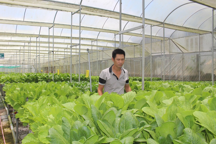 Tăng cường kiểm so&aacute;t vật tư n&ocirc;ng nghiệp n&acirc;ng cao chất lượng sản xuất cho người d&acirc;n