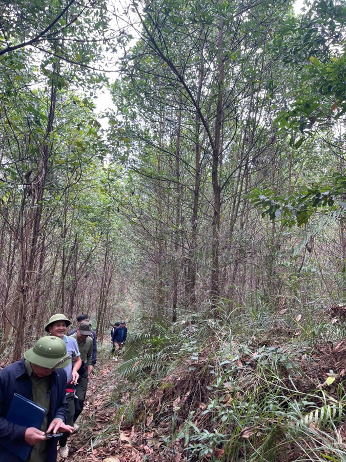 C&aacute;n bộ của C&ocirc;ng ty lu&ocirc;n b&aacute;m s&aacute;t địa b&agrave;n để kịp thời sử l&yacute; những ph&aacute;t sinh mới trong c&ocirc;ng t&aacute;c quản l&yacute; rừng của m&igrave;nh