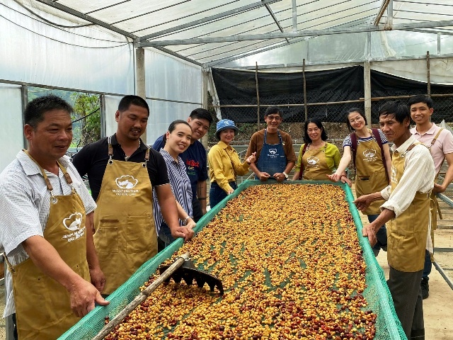 Quảng Trị chuẩn bị chuỗi sự kiện kỷ niệm 100 năm cà phê Khe Sanh