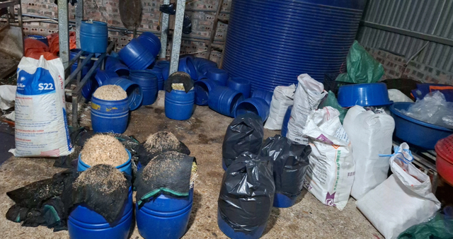 Hơn 500 tấn giá đỗ chứa chất độc bị tuồn ra thị trường bán cho người dân