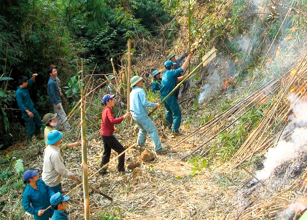 Lào Cai tăng cường biện pháp phòng cháy, chữa cháy rừng trong cao điểm nắng nóng