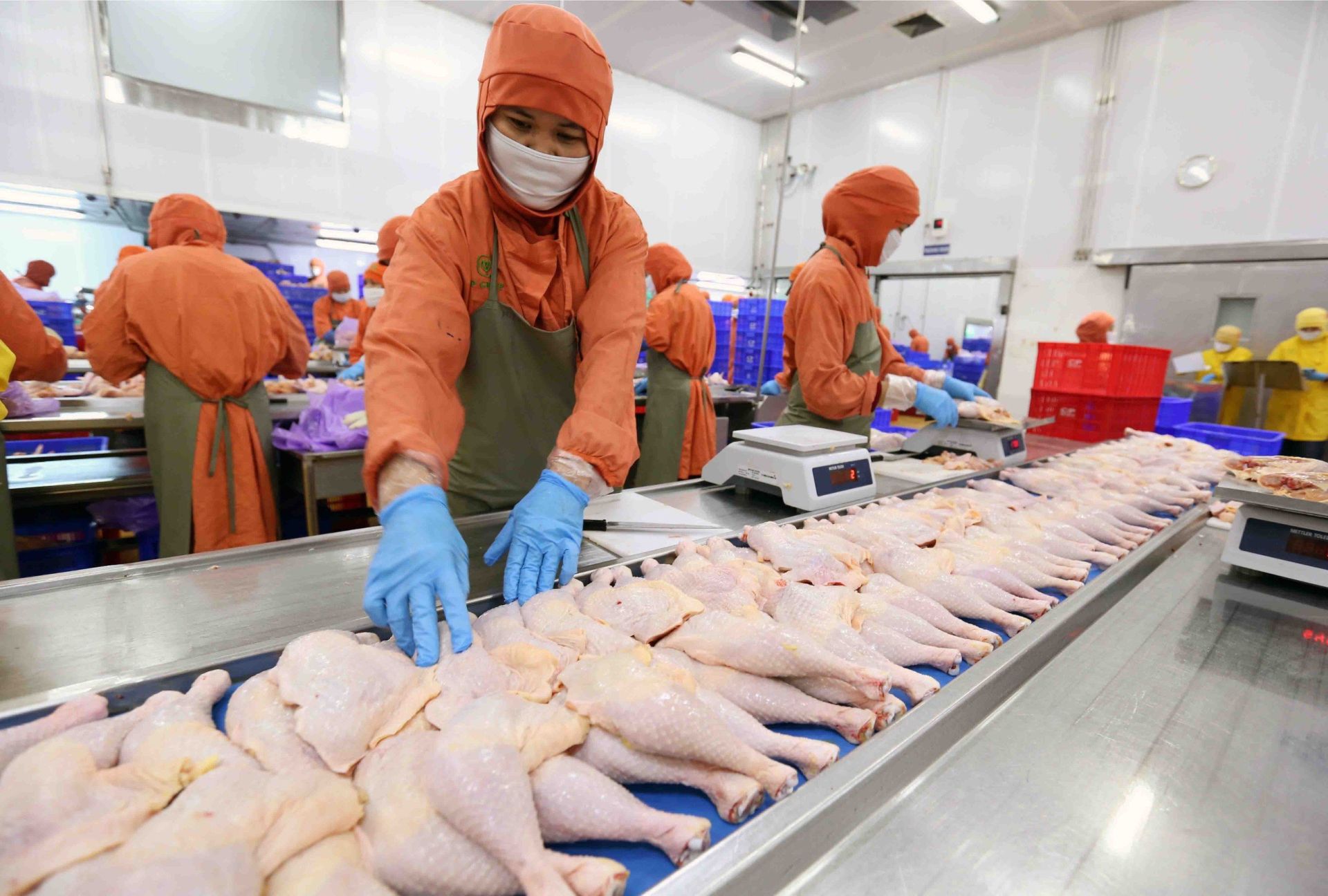 Thị trường Halal: Dư địa lớn nhưng doanh nghiệp Việt vẫn “đứng ngoài cuộc chơi”