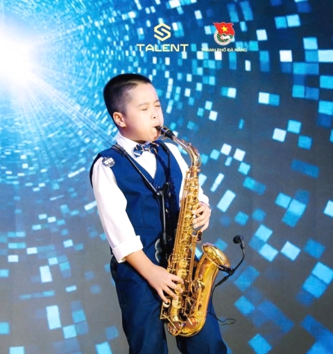 Cuộc thi quy tụ nhiều hạng mục nghệ thuật đa dạng như: nhạc cụ (piano, guitar, violin, saxophone, trống&hellip;), thanh nhạc, ballet...