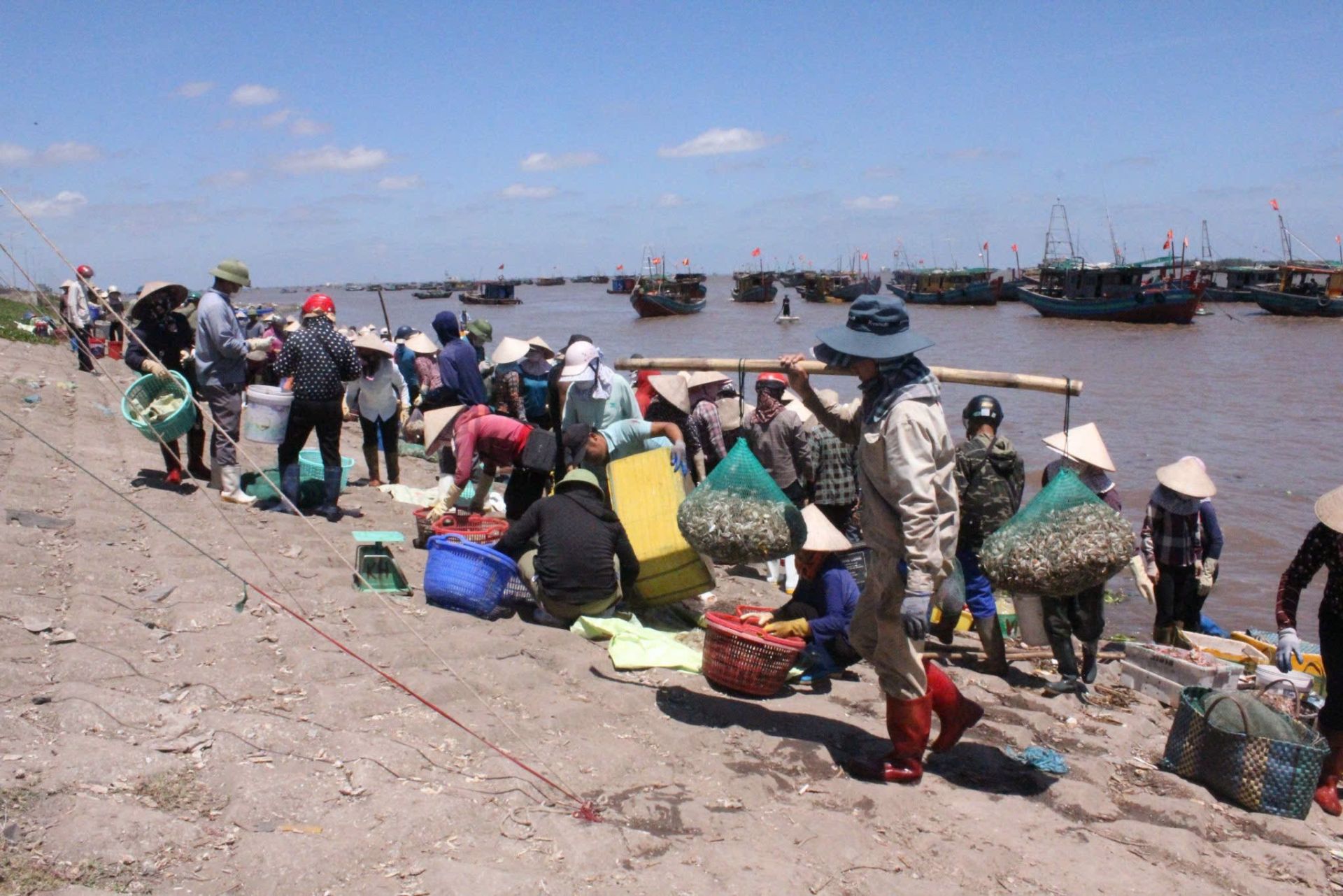 Cảnh bu&ocirc;n b&aacute;n tấp nập ở bến c&aacute; Giao Hải (Giao Ph&uacute;c).