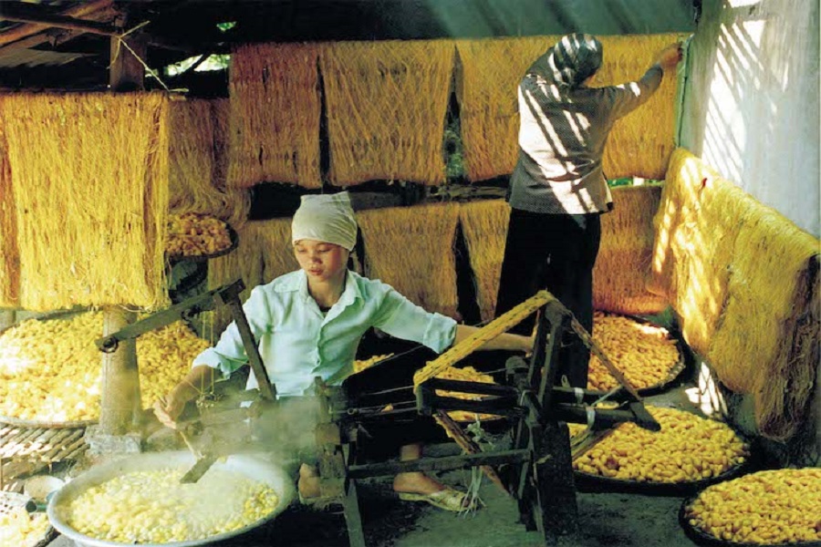 Ươm tơ từ k&eacute;n tằm