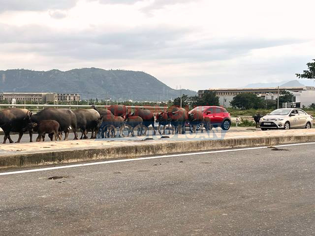Cầu Gia Tr&ograve;n (đoạn đường Nguyễn Tất Th&agrave;nh nối d&agrave;i, thuộc phường Hải V&acirc;n.