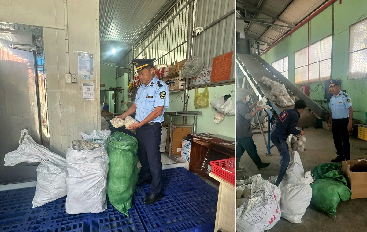 Đồng Nai: Xử phạt và tiêu hủy 175kg thực phẩm không rõ nguồn gốc