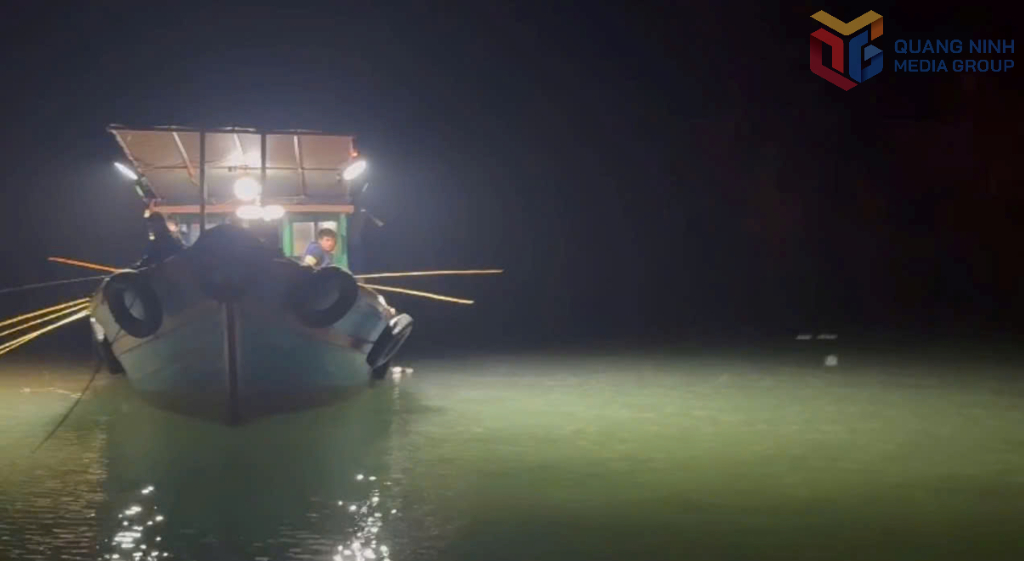 Quảng Ninh xử lý nghiêm hoạt động du lịch trải nghiệm trái phép