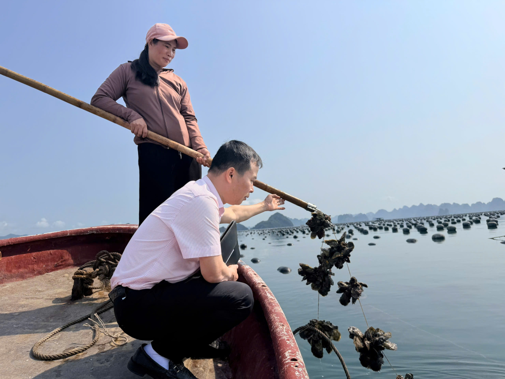 Ngân hàng CSXH Quảng Ninh giải ngân 360 tỷ đồng nguồn vốn ngân sách 