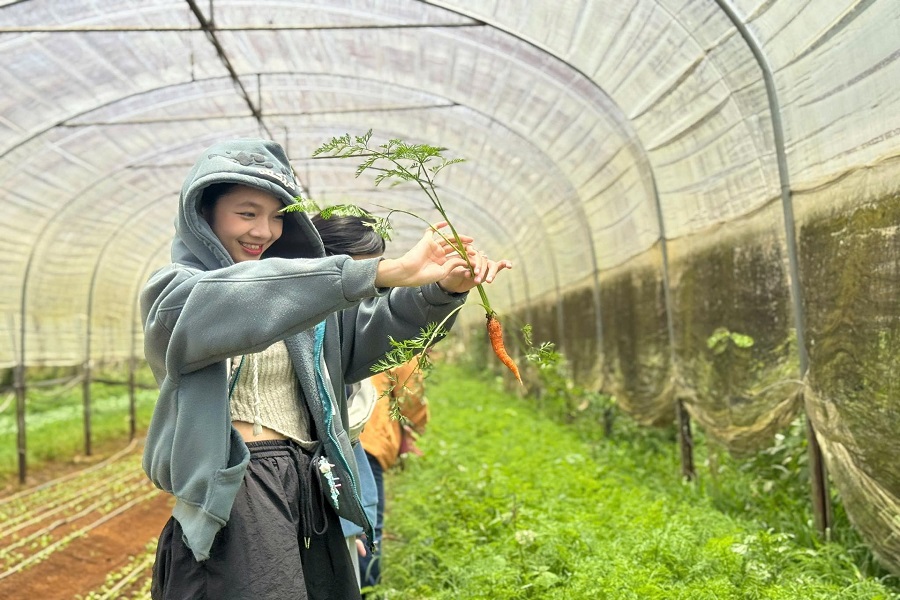 Du lịch canh n&ocirc;ng gi&uacute;p k&eacute;o d&agrave;i chuỗi gi&aacute; trị của sản phẩm n&ocirc;ng nghiệp.