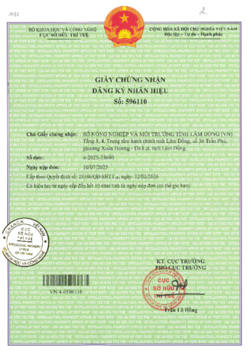 Giấy chứng nhận đăng k&yacute; nh&atilde;n hiệu chứng nhận &ldquo;Mắc ca L&acirc;m Đồng&rdquo;