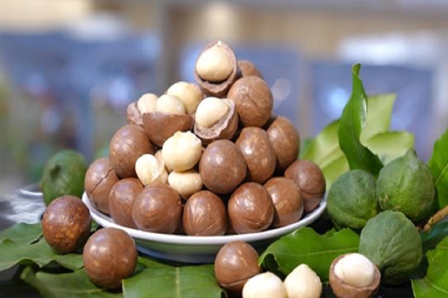 Hạt mắc ca L&acirc;m Đồng