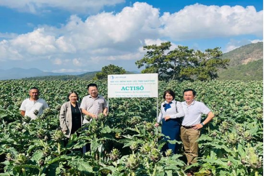 Mô hình Actiso tại phường Xuân trường - Đà Lạt Mô hình Actiso tại phường Xuân trường - Đà Lạt