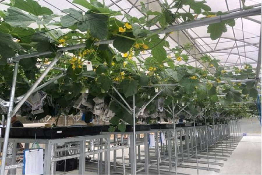 Ngành Nông nghiệp và Môi trường Lâm Đồng: Tăng tốc, quyết tâm bứt phá bền vững trong quý II