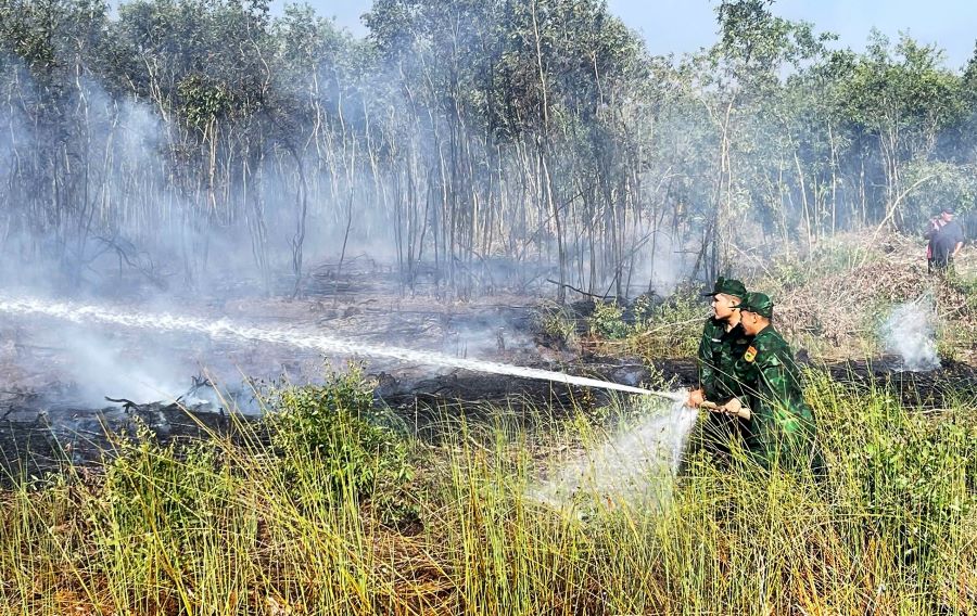 Đồn Biên phòng Mỹ Thạnh Tây phối hợp kịp thời dập tắt cháy rừng