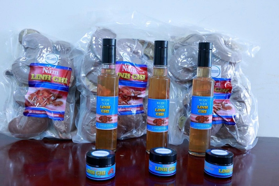 Đề t&agrave;i nghi&ecirc;n cứu đ&atilde; ph&aacute;t triển 3 sản phẩm thương mại đạt ti&ecirc;u chuẩn chất lượng