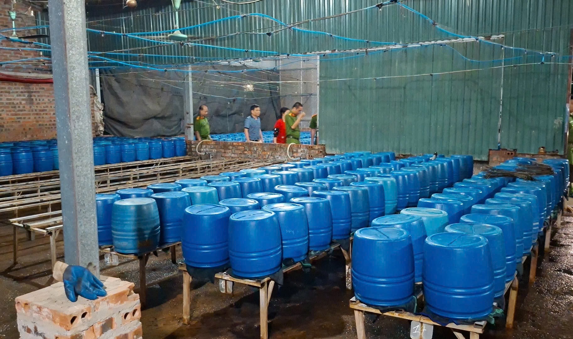 Công an tỉnh Lào Cai khởi tố đối tượng sản xuất giá đỗ bằng hóa chất 6-BAP