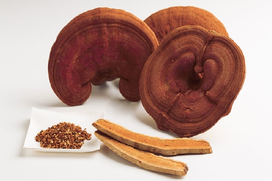 Lâm Đồng: Khai mở tiềm năng dược liệu - nấm linh chi Tà Đùng, hướng tới thương mại hóa