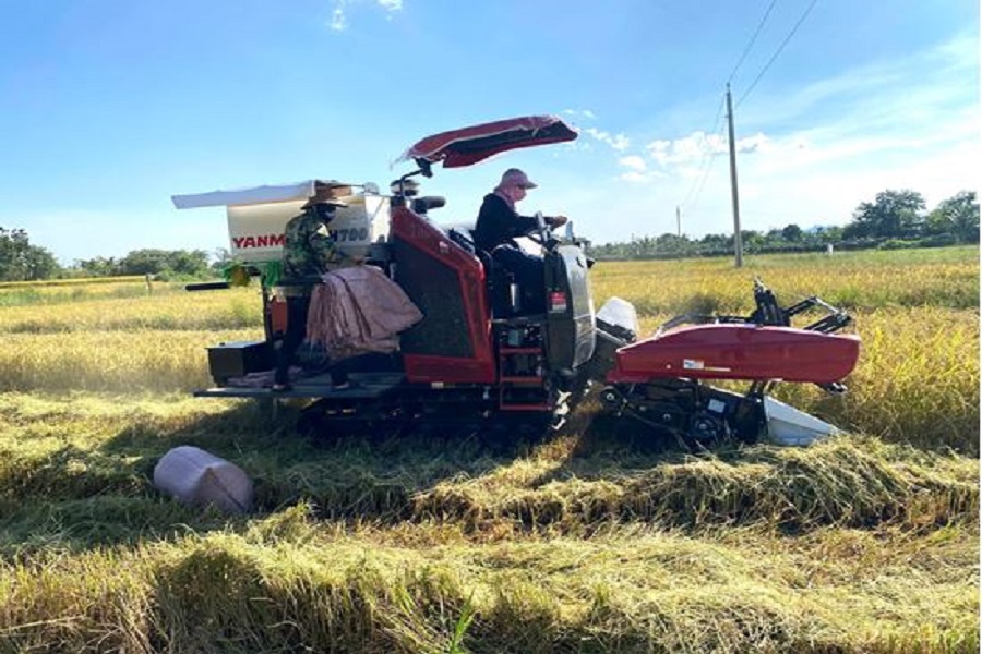 Sử dụng máy gặt đập liên hợp trên ruộng lúa tại xã Bắc Bình Sử dụng máy gặt đập liên hợp trên ruộng lúa tại xã Bắc Bình