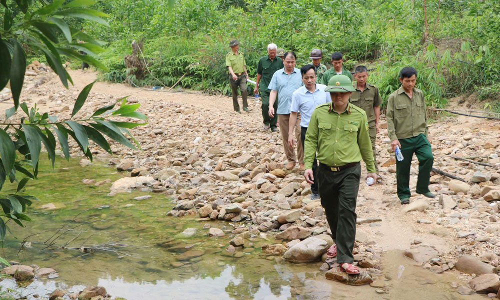 Bắc Ninh: Nhiều địa phương cảnh báo nguy cơ cháy rừng ở cấp cao