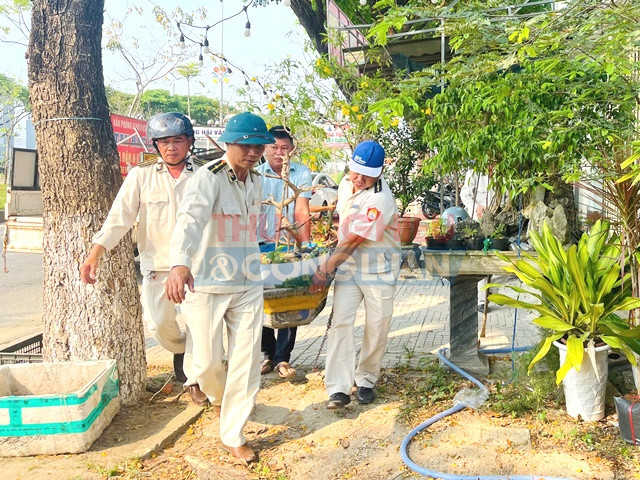 Lực lượng quy tắc đô thị hỗ trợ người dân di dời cây cảnh vào nhà. Lực lượng quy tắc đô thị hỗ trợ người dân di dời cây cảnh vào nhà.