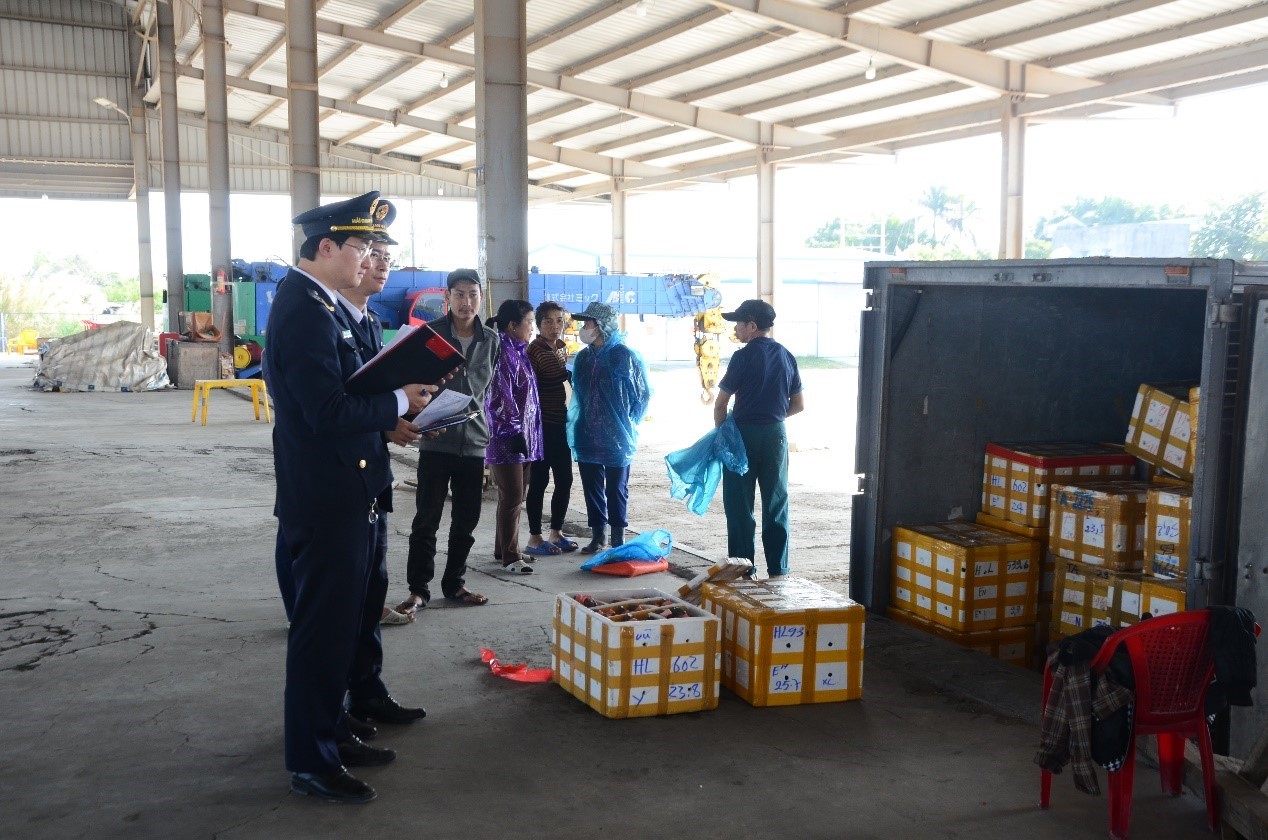 C&ocirc;ng chức Hải quan khu vực III kiểm tra h&agrave;ng h&oacute;a xuất nhập khẩu qua địa b&agrave;n. Ảnh: KT
