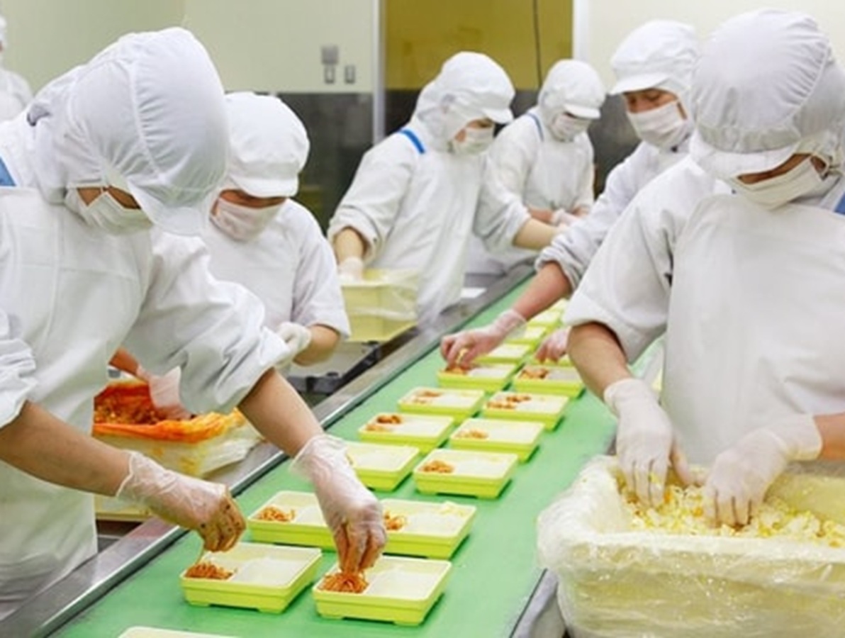 Xu hướng bền vững và an toàn: Chìa khóa định hình tương lai ngành bánh