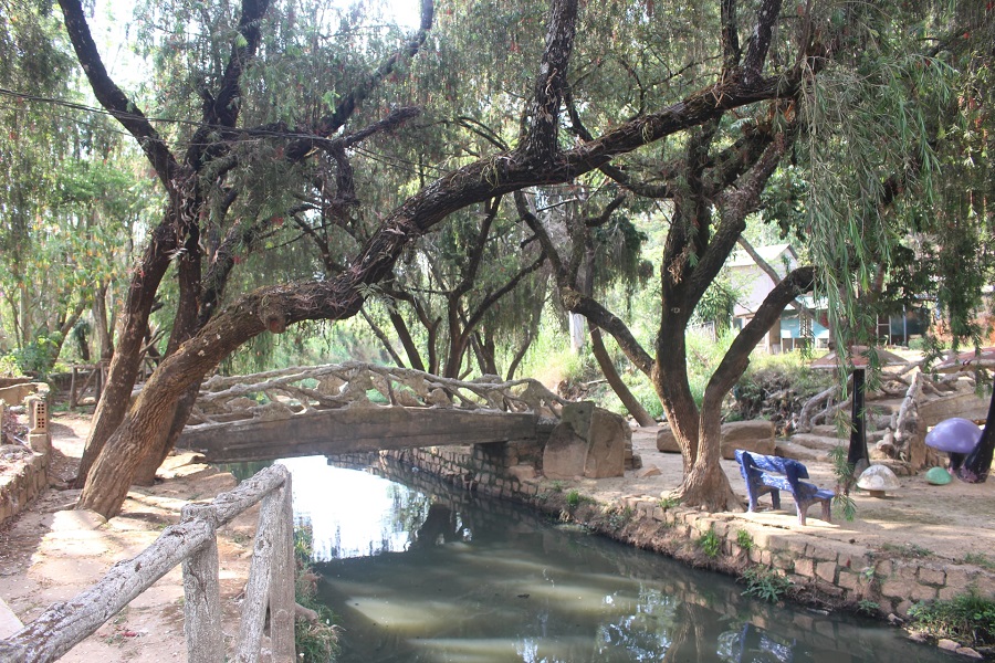 C&acirc;y cầu bắc qua d&ograve;ng nước đen ng&ograve;m dưới ch&acirc;n th&aacute;c