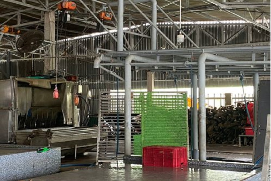 Cơ sở đầu tư m&aacute;y đ&aacute;nh l&ocirc;ng v&agrave; gi&agrave;n treo để mổ heo