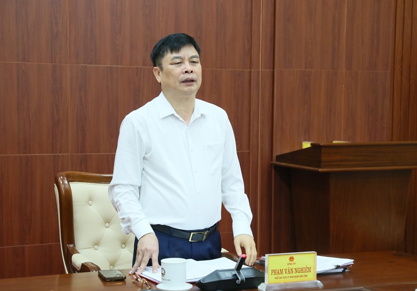 Ph&oacute; Chủ tịch UBND tỉnh Phạm Văn Nghi&ecirc;m ph&aacute;t biểu chỉ đạo tại cuộc họp