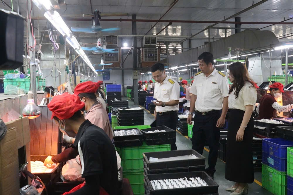 C&ocirc;ng chức Thuế tỉnh Ph&uacute; Thọ nắm bắt t&igrave;nh h&igrave;nh sản xuất, kinh doanh của doanh nghiệp tr&ecirc;n địa b&agrave;n. Ảnh: VH