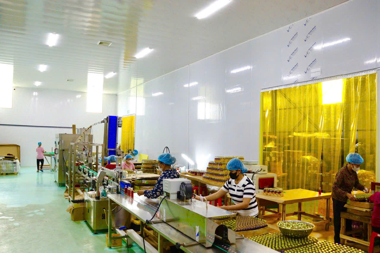 Nh&agrave; xưởng hiện đại với m&aacute;y m&oacute;c hiện đại v&agrave; đảm bảo VSATTP đạt ISO