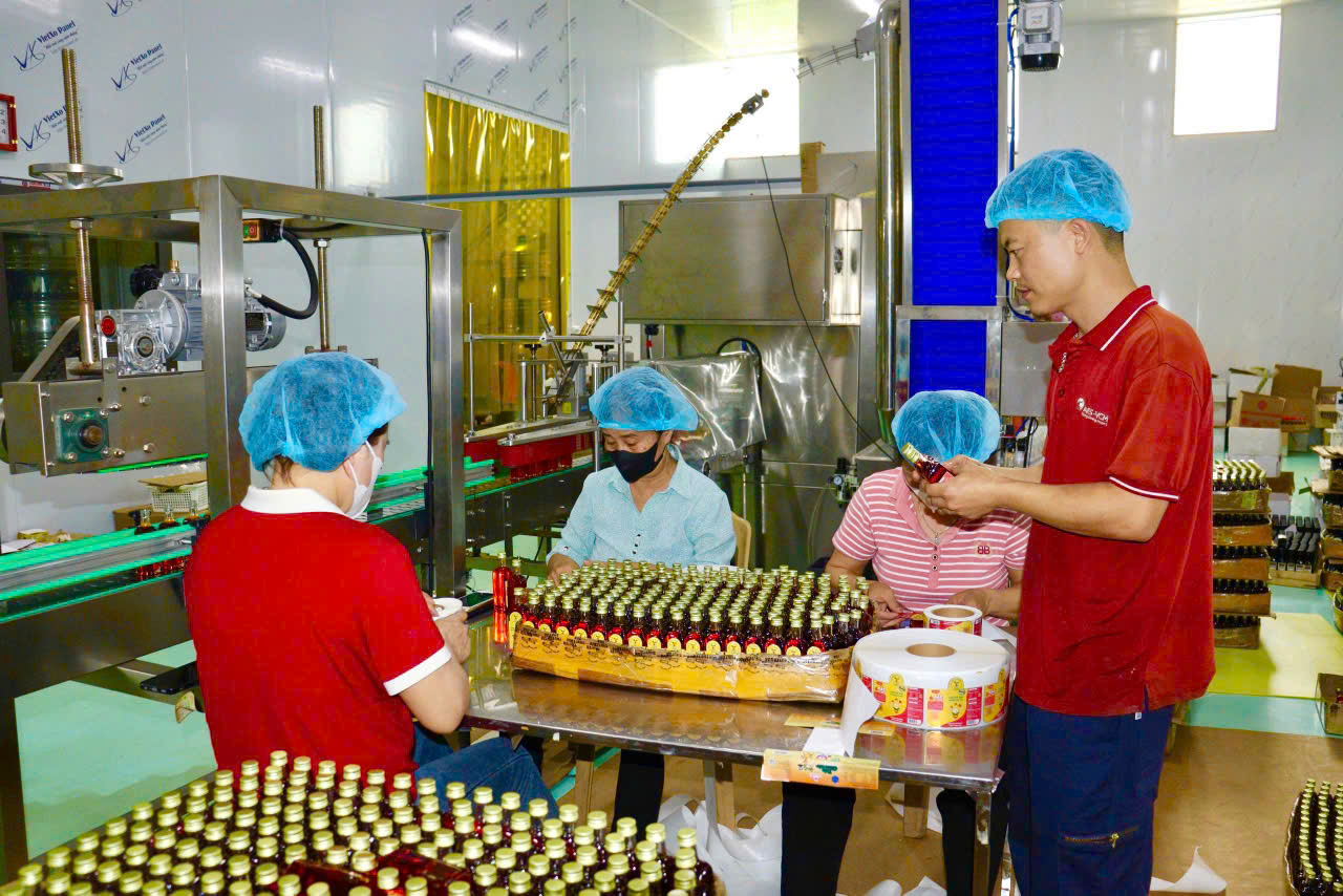 Từ những kh&oacute; khăn ban đầu doanh nghiệp đ&atilde; c&oacute; những thay đổi đi l&ecirc;n hiện đại ho&aacute; sản xuất