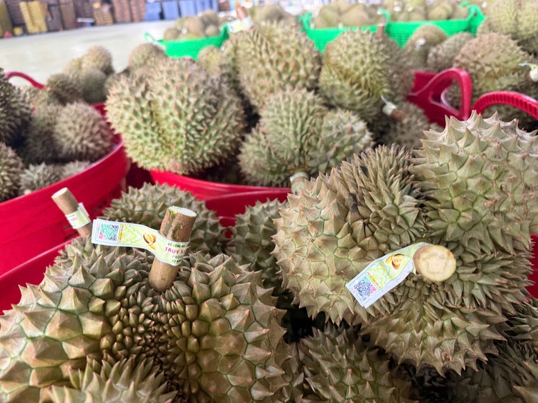 Quy tr&igrave;nh Luồng xanh cho ph&eacute;p thực hiện kiểm nghiệm từ kh&acirc;u lấy mẫu đất tại vườn trồng, cho đến quả tươi sau thu h&aacute;i chế biến, gắn tem truy xuất l&ecirc;n c&acirc;y v&agrave; d&aacute;n tem l&ecirc;n quả khi thu h&aacute;i; kiểm dịch thực vật v&agrave; cấp chứng chỉ nguồn gốc xuất xứ (C/O) ngay tại địa phương nơi c&oacute; vườn trồng