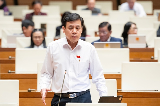 Đại biểu Trần Anh Tuấn (đo&agrave;n TP Hồ Ch&iacute; Minh)