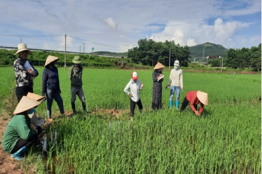 Những năm qua, ng&agrave;nh n&ocirc;ng nghiệp L&acirc;m Đồng đ&atilde; c&oacute; bước tiến d&agrave;i &aacute;p dụng c&aacute;c tiến bộ kỹ thuật nhằm đặt nền m&oacute;ng để tiến tới IPHM