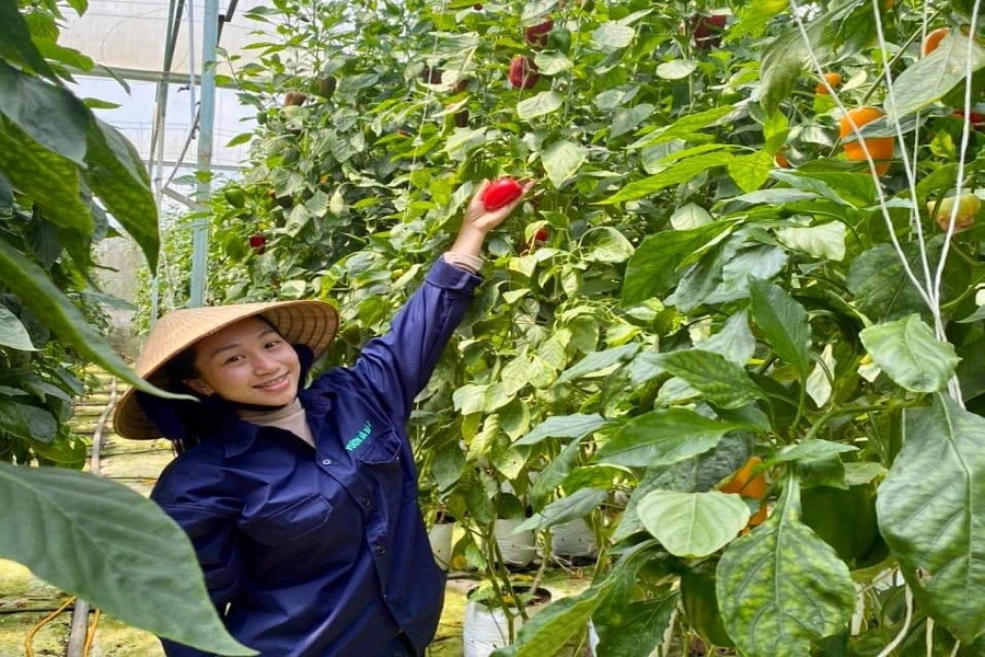 N&ocirc;ng sản hữu cơ an to&agrave;n của HTX Vườn Nh&agrave; Đ&agrave; Lạt được kh&aacute;ch h&agrave;ng tin d&ugrave;ng