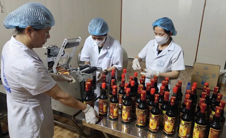 Nước mắm chay Tuấn Linh đạt giải thưởng Mai An Ti&ecirc;m năm 2026